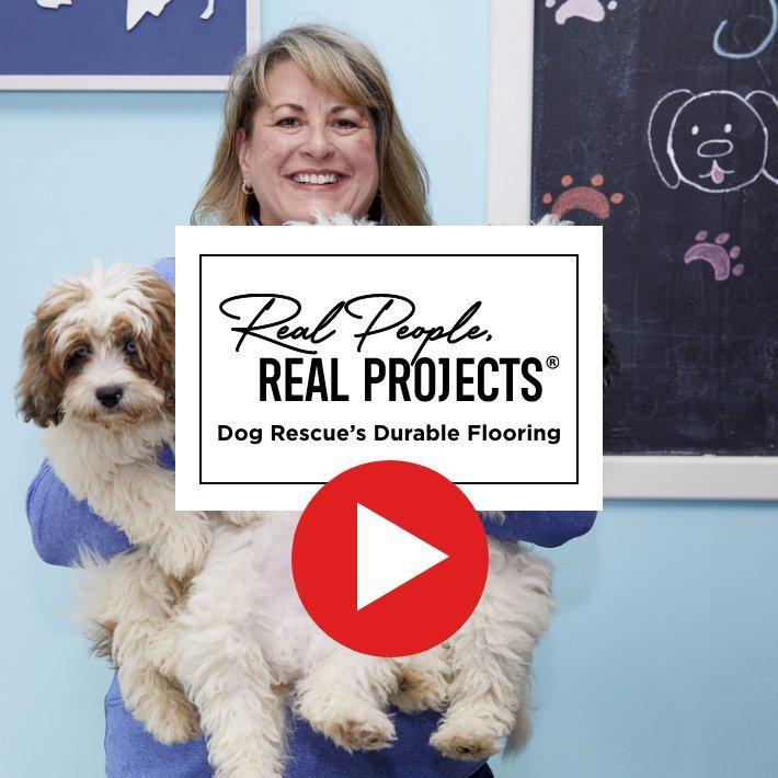 Video thumbnail for a dog rescue project video with play now icon